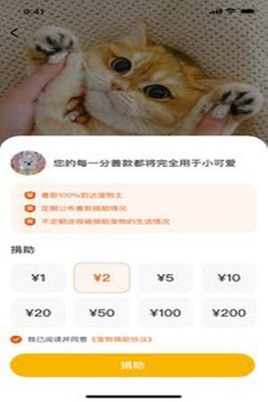 财猫双犬 截图3