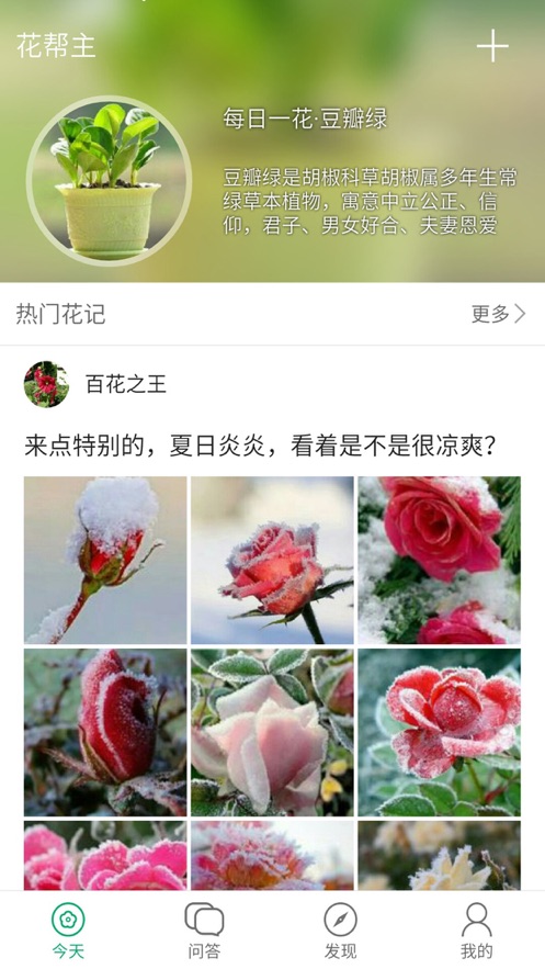 花帮主识花 截图4