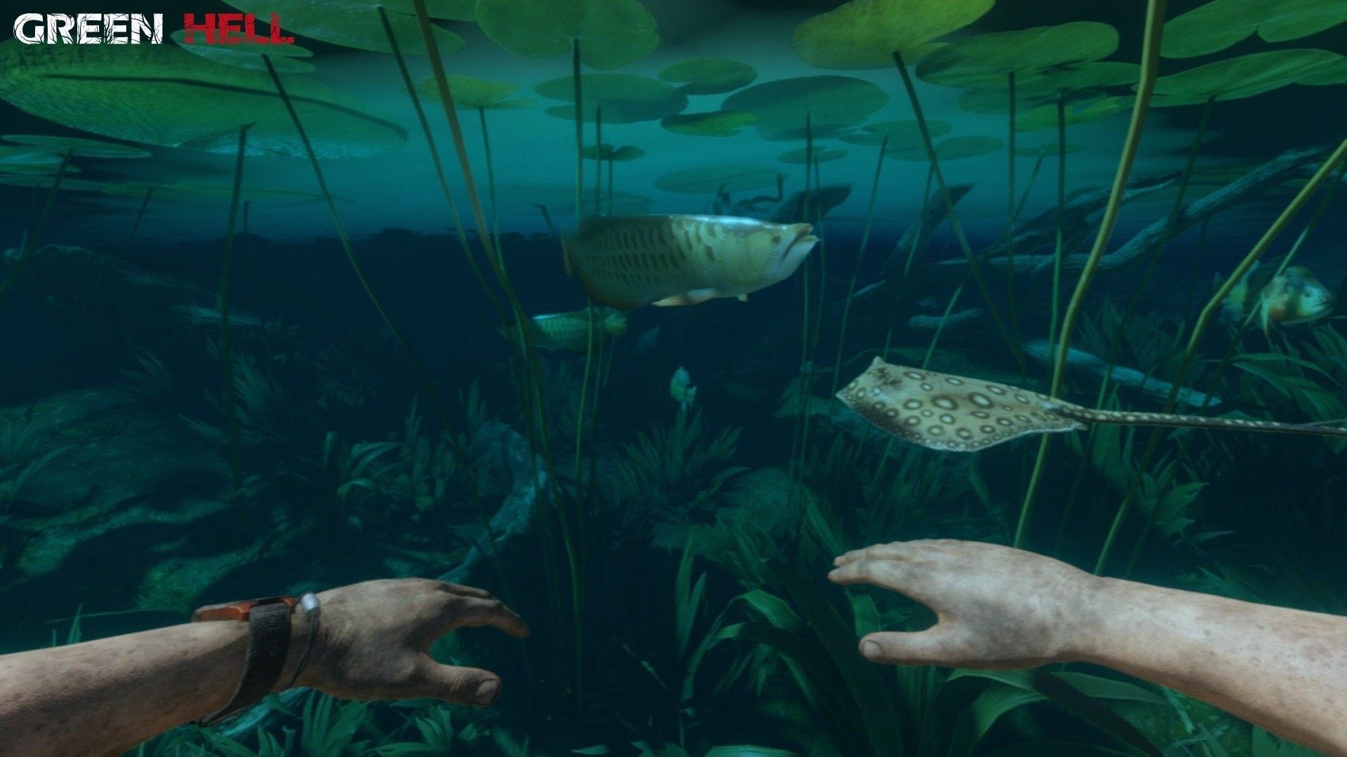 绿色地狱手机安卓版 截图2