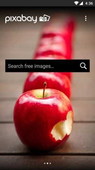 pixabay官网免费素材 截图1