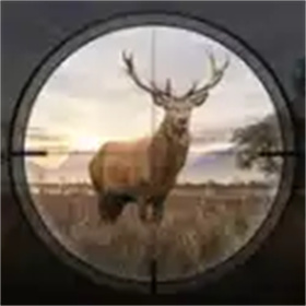 狩猎狙击手3D  v1.7.4
