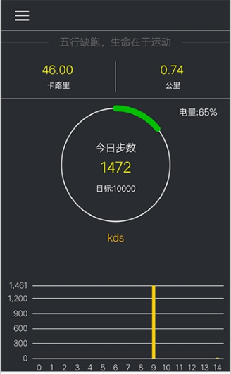 蓝牙计步器 截图3