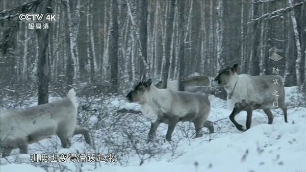我的电视2025最新版 截图3