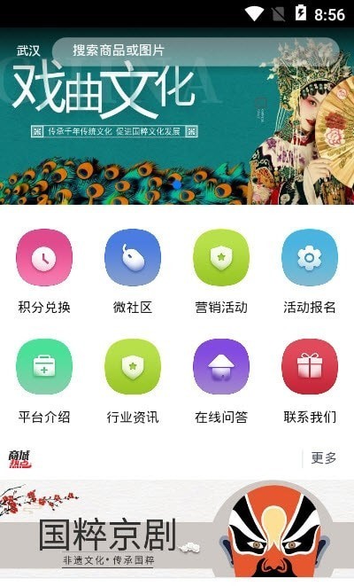 戏曲文化艺术 截图3