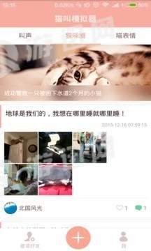 猫叫模拟器 截图1