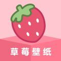 草莓壁纸app  v1.8.0