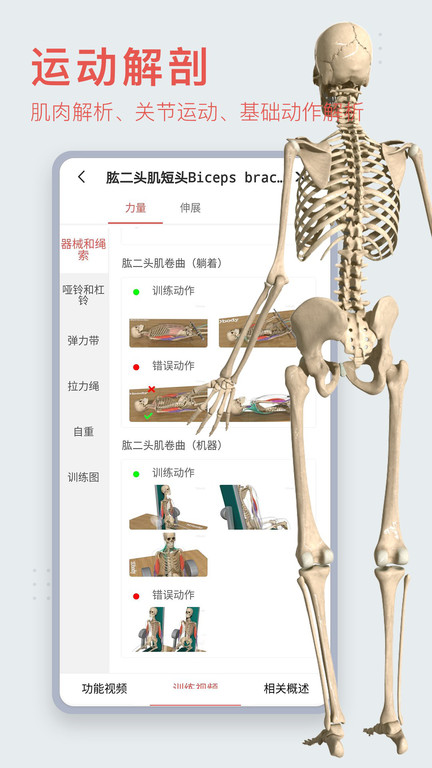 3d人体模型app 截图1