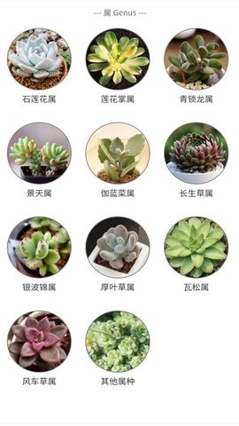 多肉植物陪护记 截图1