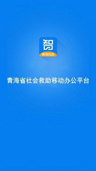 青海社会救助最新版 截图3