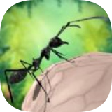 蚂蚁生存3D  v1.2.1