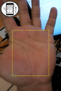 手相大师(Palm Master) 截图2