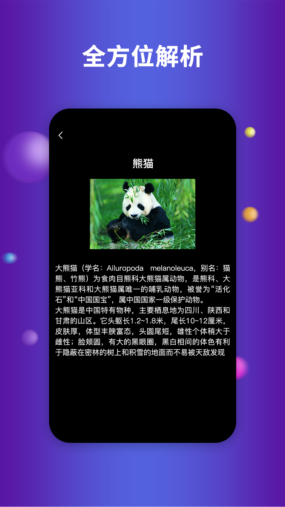 Earth地球app 截图3