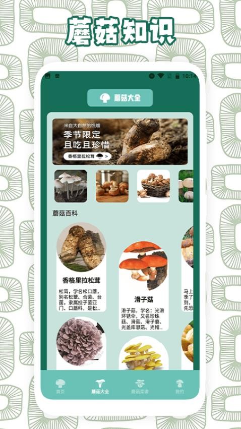 蘑菇识别助手app 截图3