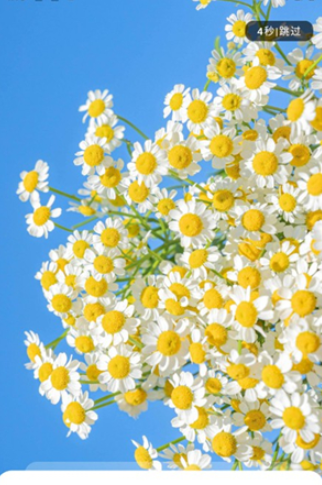 冷心口袋免费版 截图8