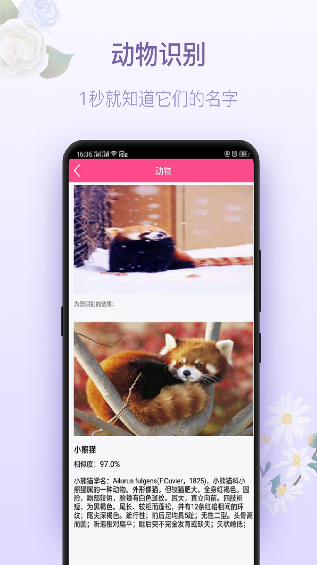 拍照识花神器 截图2