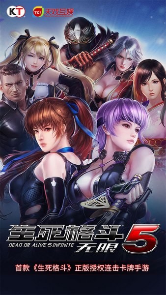 生死格斗5 截图1