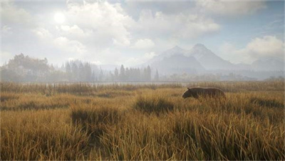 猎人：荒野的召唤游戏 截图1