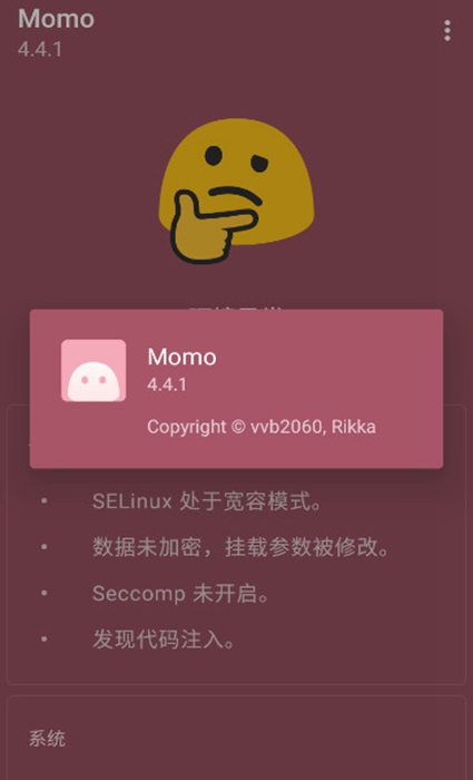 momo环境检测 截图4