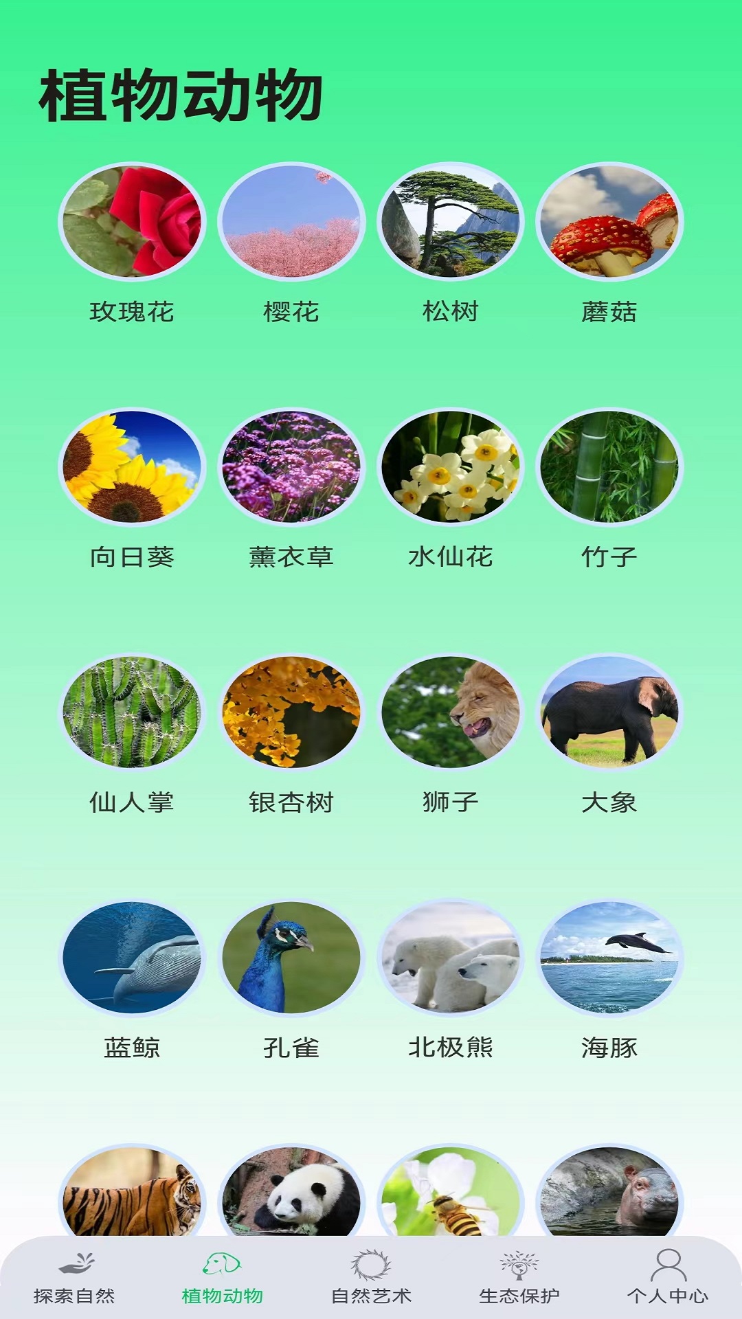绿野乐园 截图2