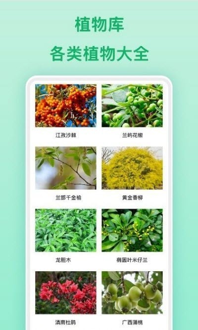 行色识物 截图2