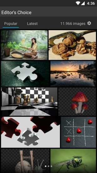 pixabay官网免费素材 截图4
