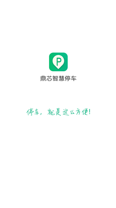 路边停车app 截图3