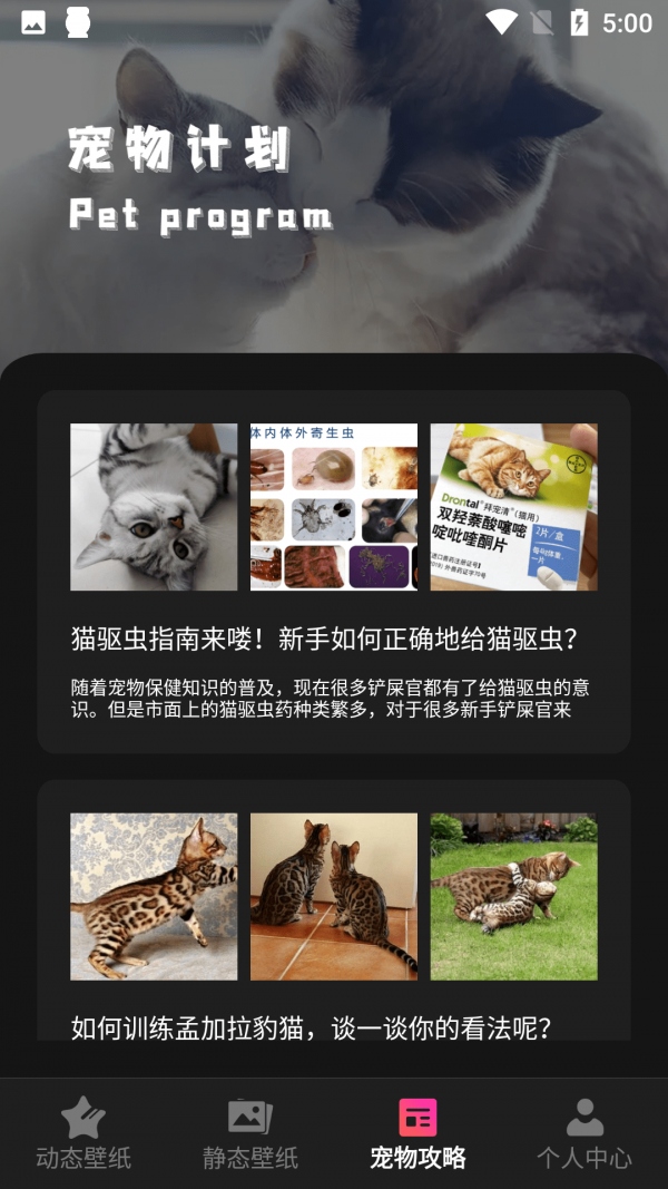 猫咪壁纸 截图1