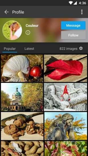 pixabay官网免费素材 截图3