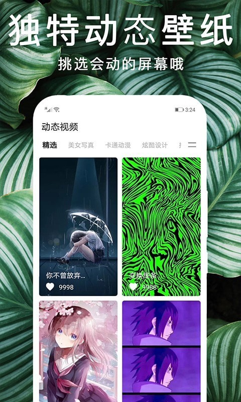 灵猫壁纸图库 截图1