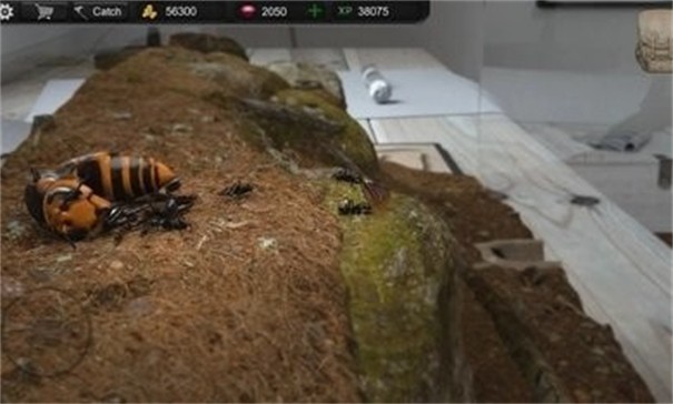蚂蚁模拟大亨游戏 截图3