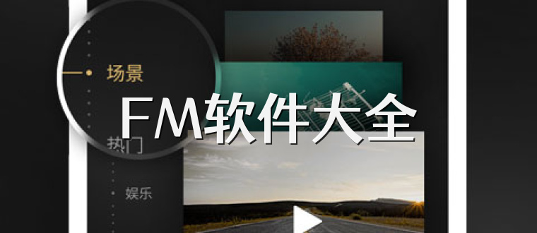 FM软件大全