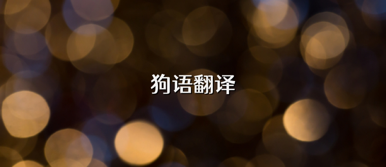 狗语翻译