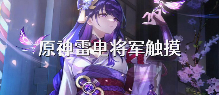 原神雷电将军触摸