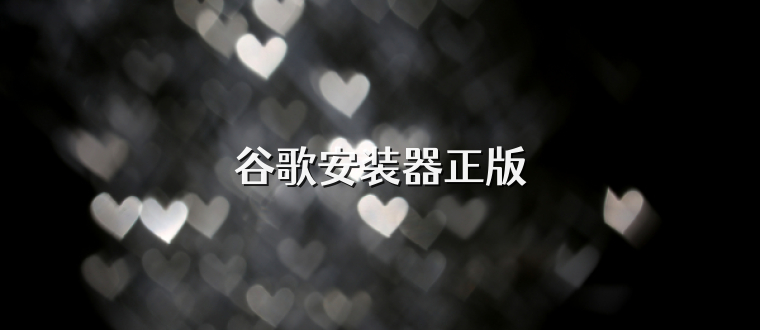 谷歌安装器正版