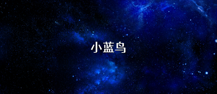 小蓝鸟