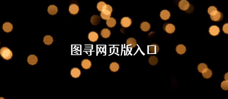 图寻网页版入口