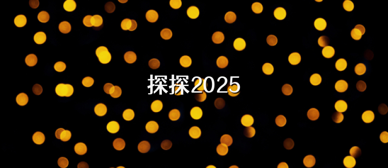 探探2025