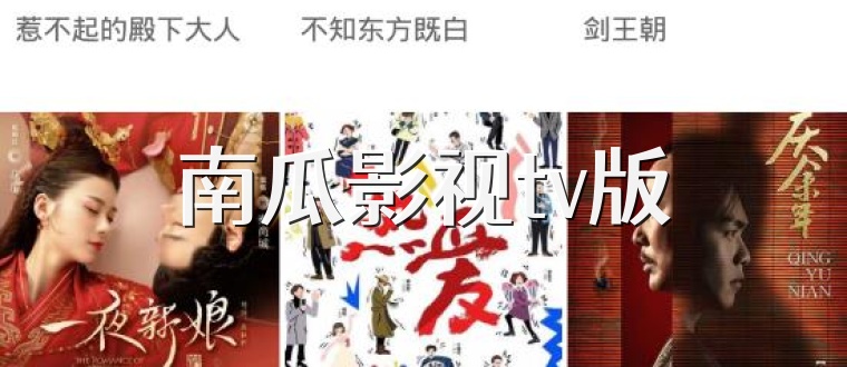 南瓜影视tv版