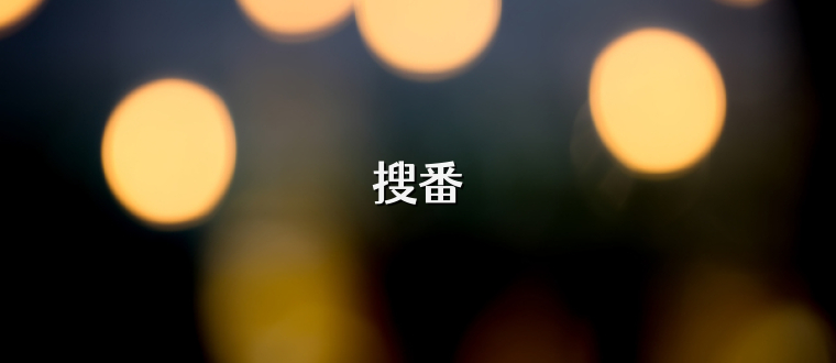 搜番