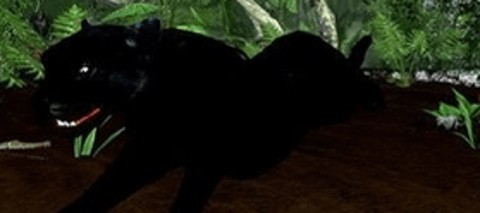 终极黑豹模拟器 截图1