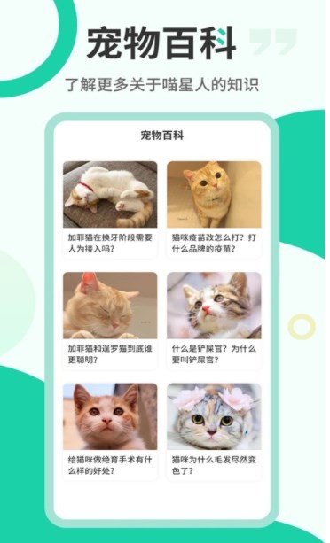 猫语翻译机 截图3