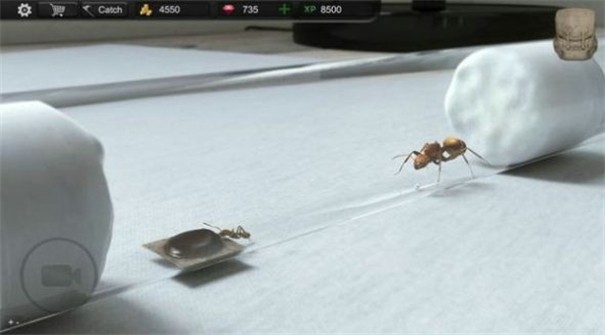 蚂蚁模拟大亨游戏 截图2
