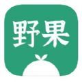 野果阅读APP