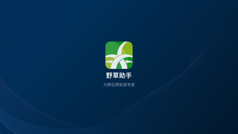 野草助手应用商店TV版 截图5