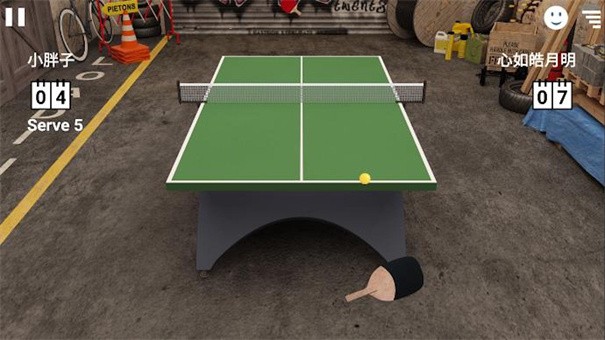 乒乓球模拟3D 截图2