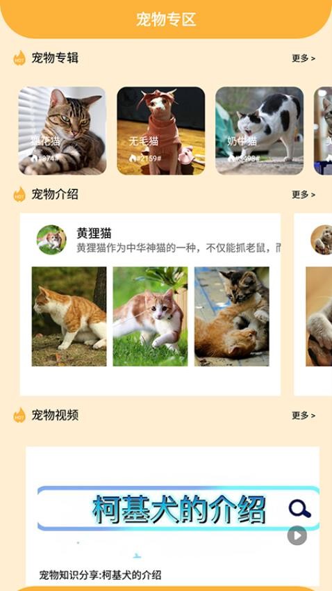 喵的工具箱子app