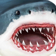 终极鲨鱼模拟器  v1.5