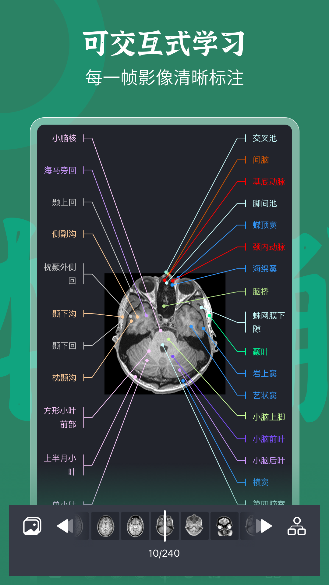 万康人体解剖app