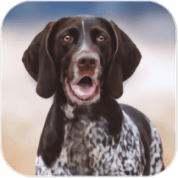 猎犬模拟器  v1.3