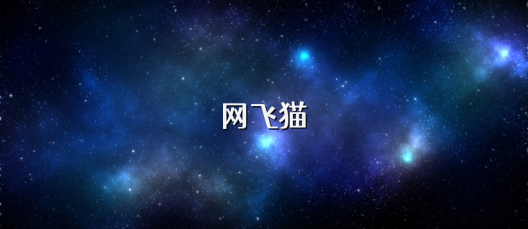 网飞猫